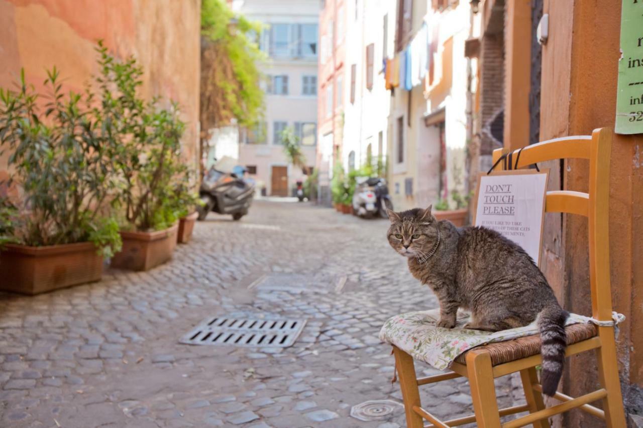 La Bonosa Apartamento Roma